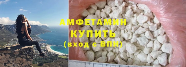 прущие грибы Михайловск