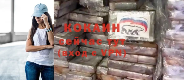 прущие грибы Михайловск