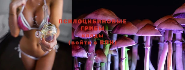 дмт Михайлов