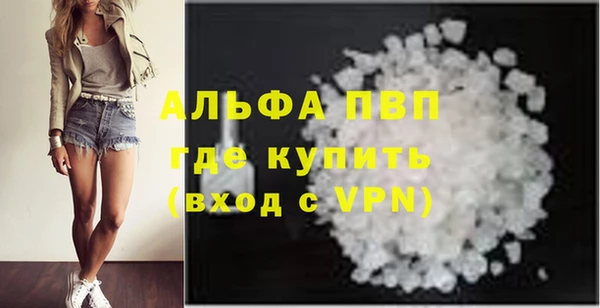 прущие грибы Михайловск
