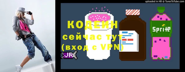 прущие грибы Михайловск