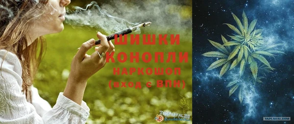 прущие грибы Михайловск