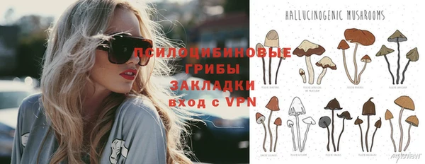 spice Михайловка