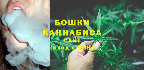дмт Михайлов