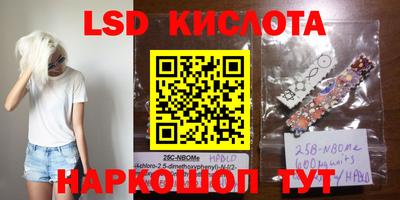 МДПВ Донецк