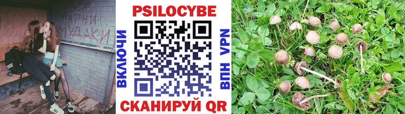kraken ссылки  это какой сайт  Галлюциногенные грибы Cubensis  купить закладку  Сочи 