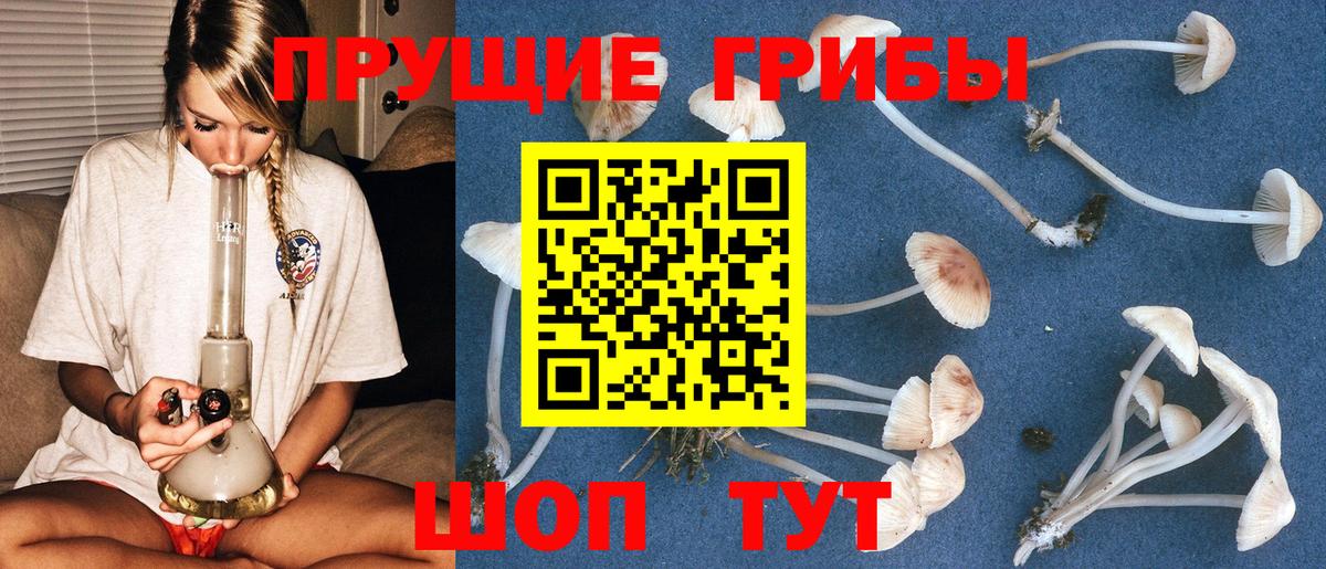 Псилоцибиновые грибы Psilocybine cubensis  Вход с VPN  цены   Сочи 